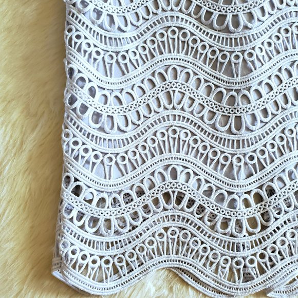 Lela Rose Sheath Dress Wave Lace in Ice Blue Size 2 EUC - Picture 9 of 16